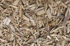 biomass boilers Barsloisnoch